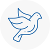 Bird Prevention Stocksbridge
