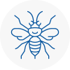 Stocksbridge Hornet Nest Removals