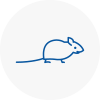 Mice Exterminators In Stocksbridge