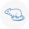 Rat Control Stocksbridge