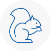 Stocksbridge Rodent Removals