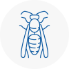Stocksbridge Wasp Nest Removal